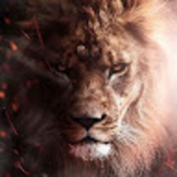 Meet your Posher, Kevin - Picture 1 of 1